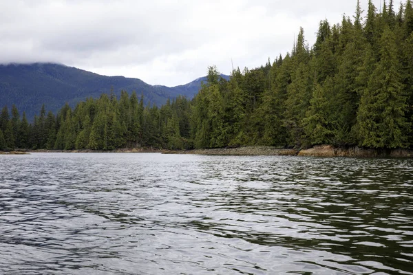 Neets Bay Alaska Usa Augustus 2019 Neets Bay Kustlijn Landschap — Stockfoto