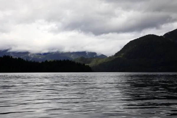 Neets Bay Alaska Usa August 2019 Neets Bay Coastline Landscape — Stock Photo, Image