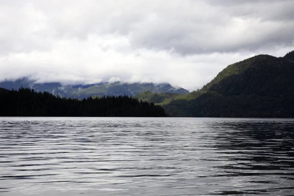 Neets Bay Alaska Usa Sierpnia 2019 Krajobraz Wybrzeża Neets Bay — Zdjęcie stockowe