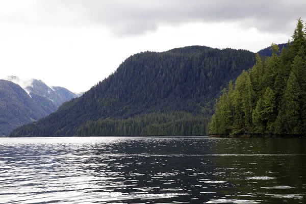 Neets Bay Alaska Usa Sierpnia 2019 Krajobraz Wybrzeża Neets Bay — Zdjęcie stockowe