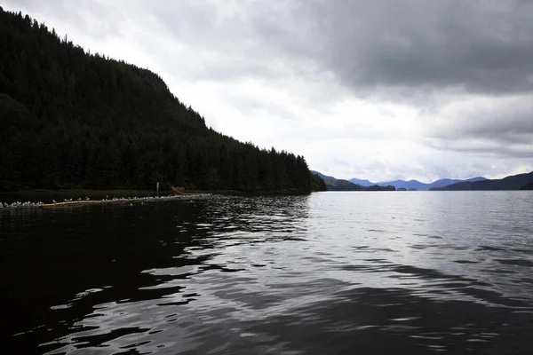 Neets Bay Alaska Usa Sierpnia 2019 Krajobraz Wybrzeża Neets Bay — Zdjęcie stockowe