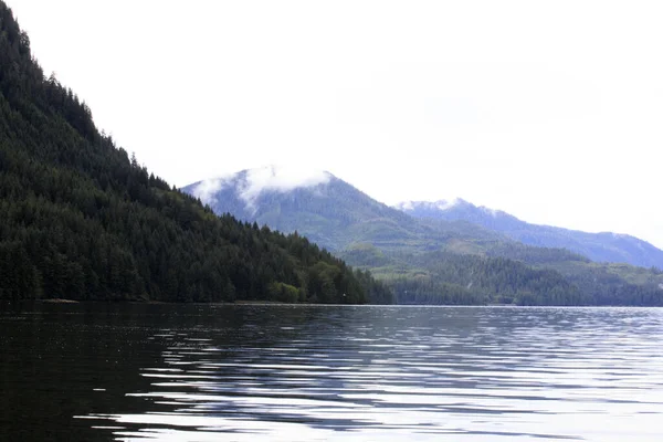 Neets Bay Alaska Usa August 2019 Neets Bay Coastline Landscape — Stock Photo, Image