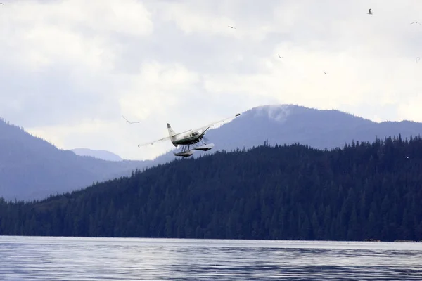 Neets Bay Alaska Usa Αυγούστου 2019 Ένα Υδροπλάνο Στο Neets — Φωτογραφία Αρχείου