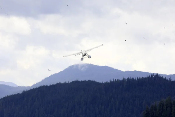 Neets Bay Alaska Usa Αυγούστου 2019 Ένα Υδροπλάνο Στο Neets — Φωτογραφία Αρχείου