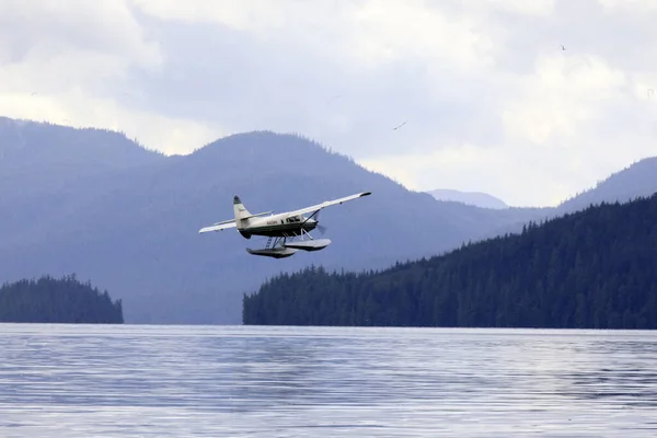 Neets Bay Alaska Usa Augustus 2019 Een Watervliegtuig Neets Bay Rechtenvrije Stockfoto's