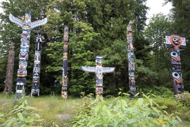 Vancouver, Amerika - 18 Ağustos 2019: Stanley Park, Vancouver, Amerika