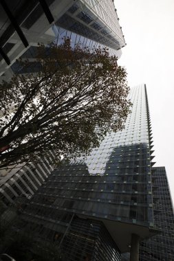 Vancouver, Amerika - 18 Ağustos 2019: Vancouver bina manzarası, Vancouver, Amerika