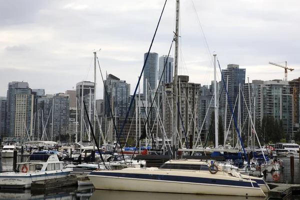 Vancouver America Agosto 2019 Veduta Vancouver Stanley Park Vancouver America — Foto Stock