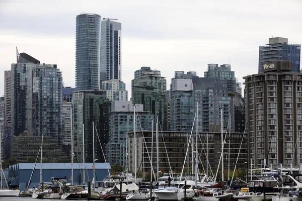 Vancouver America Augusti 2019 Vancouver Utsikt Från Stanley Park Vancouver — Stockfoto