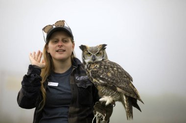 Vancouver, Amerika - 18 Ağustos 2019 Grouse Mountain, Vancouver, Amerika