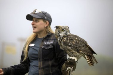 Vancouver, Amerika - 18 Ağustos 2019 Grouse Mountain, Vancouver, Amerika