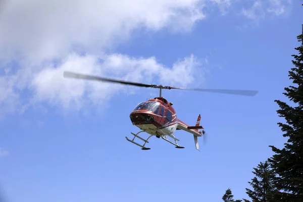 Vancouver Estados Unidos Agosto 2019 Visita Helicóptero Grouse Mountain Vancouver — Foto de Stock