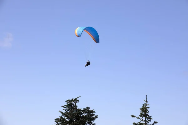 Vancouver America Agosto 2019 Parapente Grouse Mountain Vancouver America — Fotografia de Stock