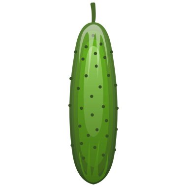 Salatalık - Sebze Vektör Şablonu.