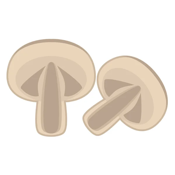 Illustration Vectorielle Champignons Coupés Deux — Image vectorielle