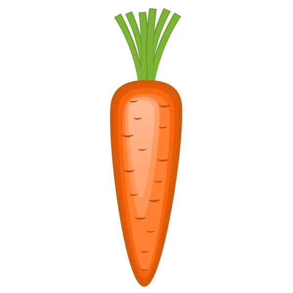 Ilustración Vectorial Una Zanahoria Entera — Vector de stock