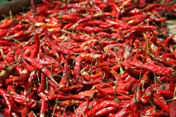 Dużo Suszonej Czerwonej Papryki Chili Składniki Żywności Dla Pikantnych — Zdjęcie stockowe