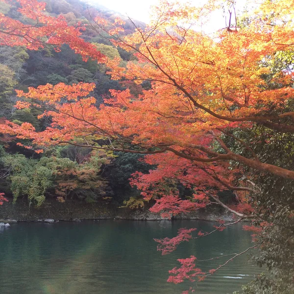 Vista Outono Rio Hozu Arashiyama Kyoto Japão — Fotografia de Stock