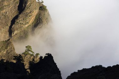 La Palma 'da Bahar Manzarası, Kanarya Adaları, İspanya
