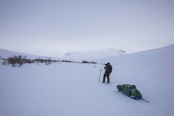 Expédition Ski Dans Parc National Dovrefjell Norvège — Photo