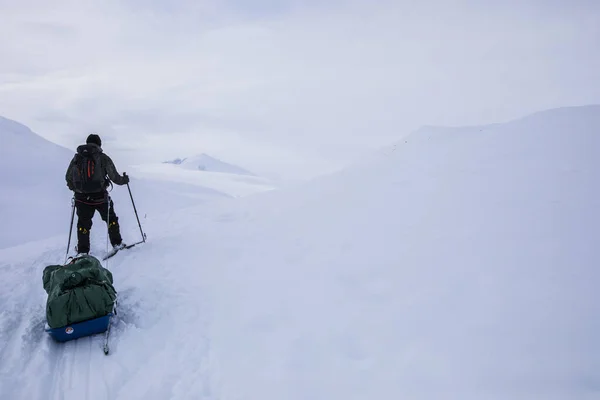 Expédition Ski Dans Parc National Dovrefjell Norvège — Photo