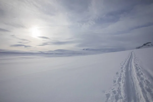 Spedizione Sci Nel Parco Nazionale Dovrefjell Norvegia — Foto Stock