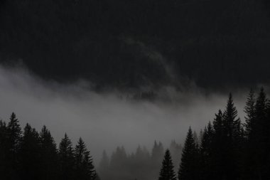 Dolomitlerdeki sis ormanı dağları, Alpler, İtalya