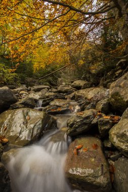 Valle De Echo 'da Sonbahar, Pireneler, İspanya