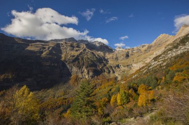 Pineta, Ordesa ve Monte Perdido Ulusal Parkı, İspanya 'da sonbahar