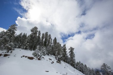 İspanya, Cadi Moixero Doğa Parkı 'nda kış