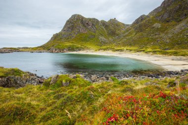 Kuzey Norveç, Lofoten Adaları 'nda bir plajda sonbahar