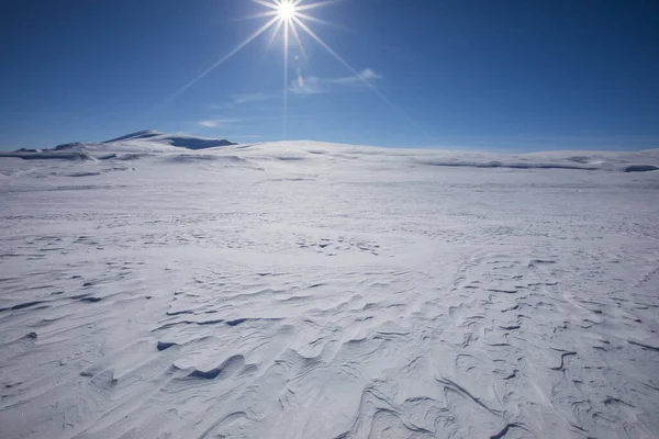Χειμώνας Στο Εθνικό Πάρκο Dovrefjell Νορβηγία — Φωτογραφία Αρχείου