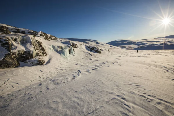 Expedición Esquí Parque Nacional Dovrefjell Noruega — Foto de Stock