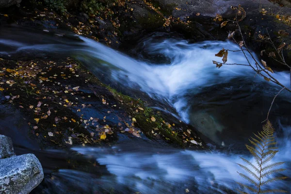 Herbst Fluss Camprodon Pyrenäen Spanien — Stockfoto