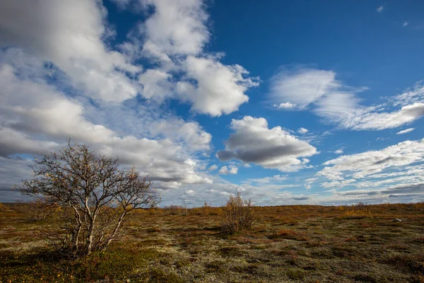 Tundra Lanfscape Outono Norte Noruega — Fotografia de Stock