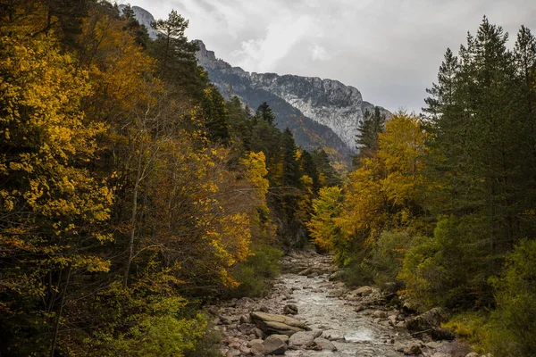 Herfst Valle Echo Pyreneeën Spanje — Stockfoto
