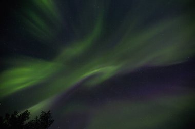 Kuzey ışıkları Kiruna, Laponya, Kuzey İsveç