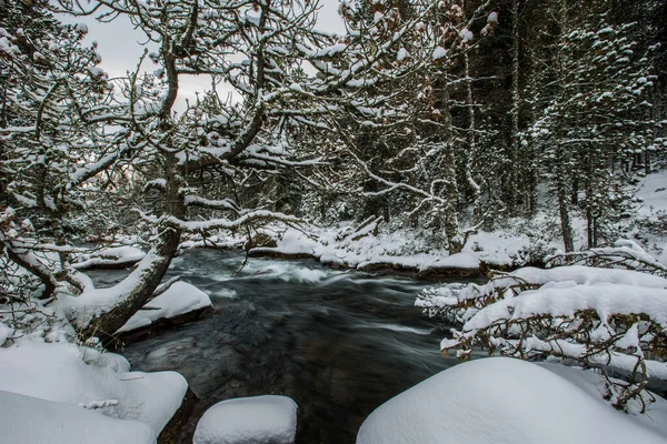 Río Invierno Capcir Cerdeña Pirineos Francia — Foto de Stock