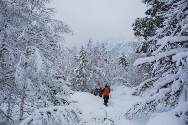Inverno Nel Parco Nazionale Delle Aiguestortes Sant Maurici Pirenei Spagna — Foto Stock
