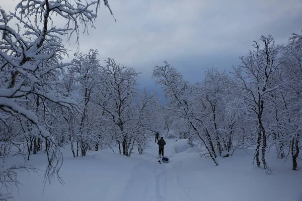 フィンランド北部のヌオルガムでの冬のスキー遠征 — ストック写真