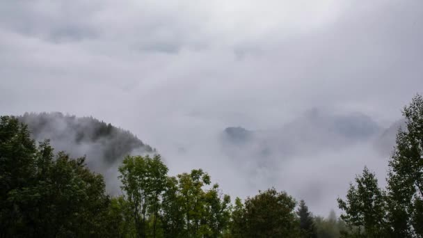 Montañas Niebla Dolomitas Alpes Italia — Vídeos de Stock