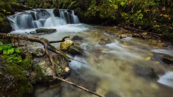 イタリアのアルプス州ドロミテの川 — ストック動画