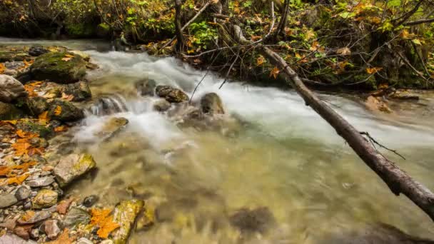 イタリアのアルプス州ドロミテの川 — ストック動画