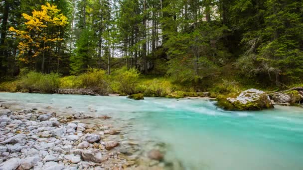 Herbst Fluss Den Dolomiten Alpen Italien — Stockvideo