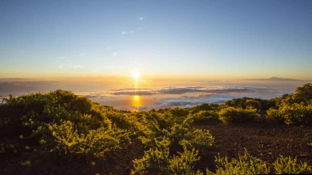 Salida Del Sol Palma Islas Canarias España — Vídeos de Stock