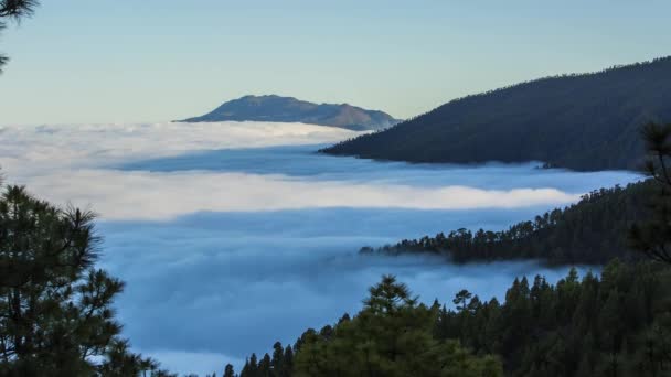 ทะเลเมฆในลา ปาล เกาะคานาร สเปน — วีดีโอสต็อก