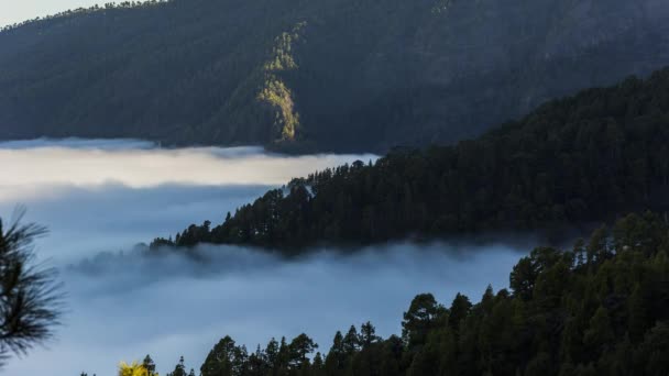 Nubes Mar Palma Islas Canarias España — Vídeo de stock