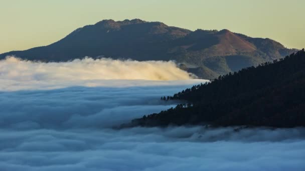 Wolken Wasserfall Palma Kanarische Inseln Spanien — Stockvideo