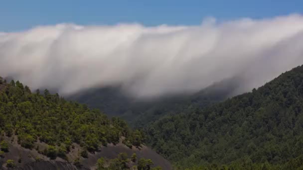 スペイン カナリア諸島のラ パルマにある雲の滝 — ストック動画