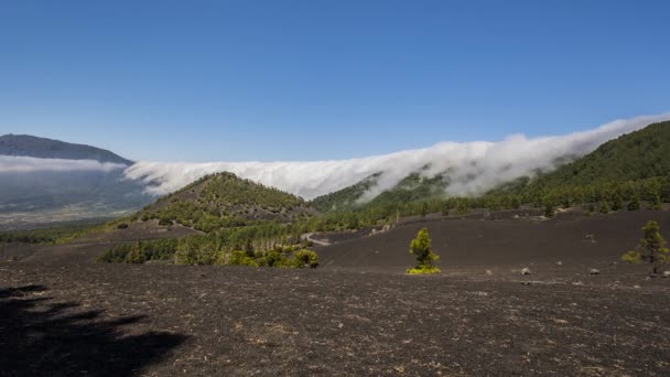 Cascata Nuvole Palma Isole Canarie Spagna — Video Stock